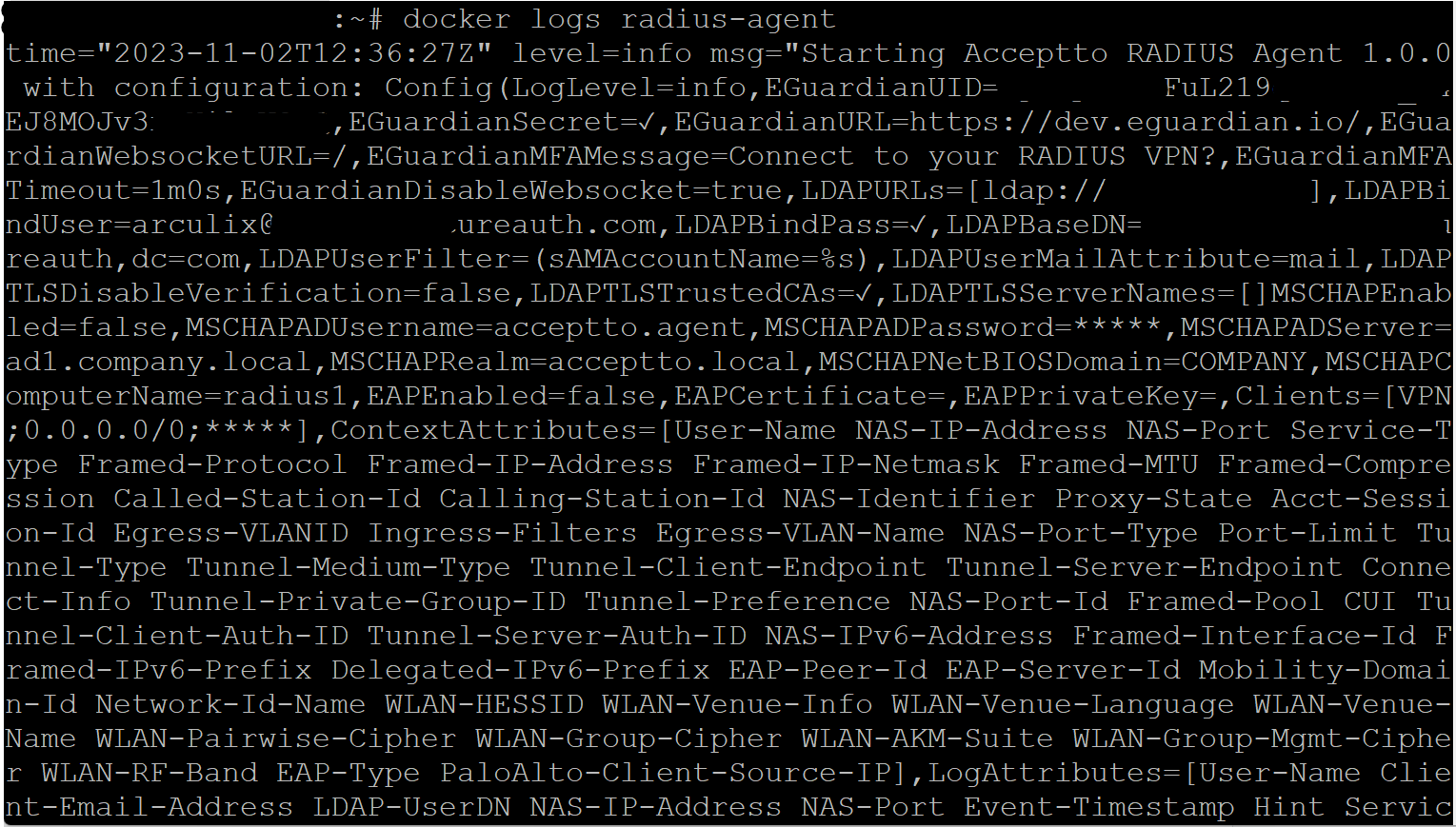 A console window showing the extensive, hard-to-read wall of text returned by docker logs radius-agent -- illustrating why debugging directly via the console is impractical.
