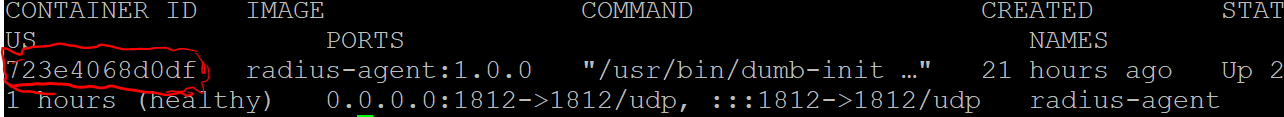 Output of docker ps, showing the RADIUS agent container with its container ID circled.