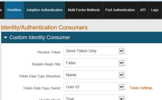 The Custom Identity Consumer section of the Workflow tab, with the Token Settings link highlighted.