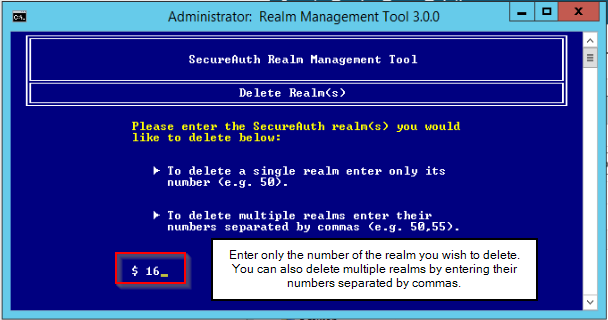 The Realm Management Tool prompting for the realm number to delete, with an example entry.