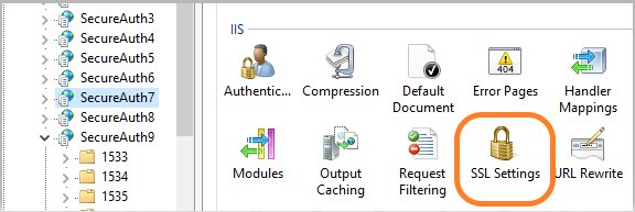 IIS section of the middle pane with a realm selected, showing the SSL Settings icon highlighted.