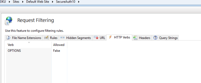 The IIS Request Filtering feature's HTTP Verbs tab, listing OPTIONS with Allowed set to False.