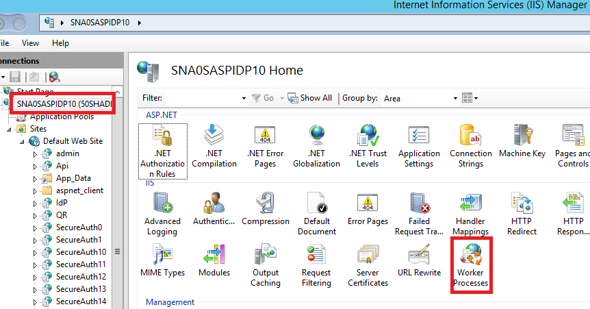 IIS Manager server home page with the Worker Processes icon highlighted under the IIS section