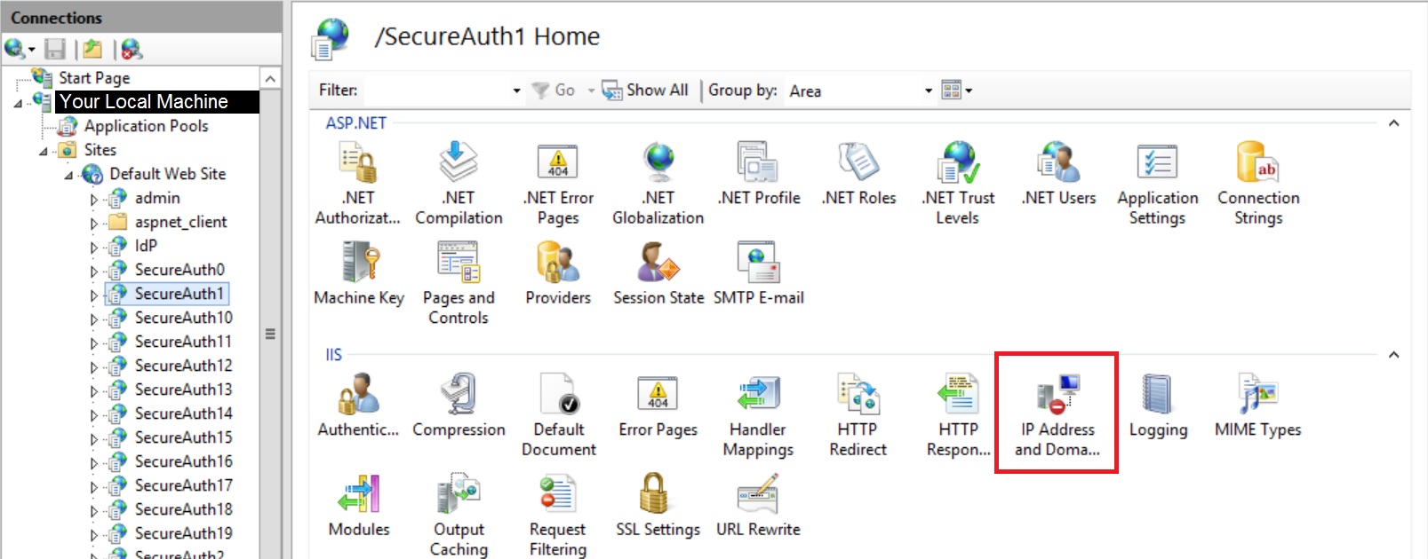 IIS Manager with a realm selected and the IP Address and Domain Restrictions icon highlighted.