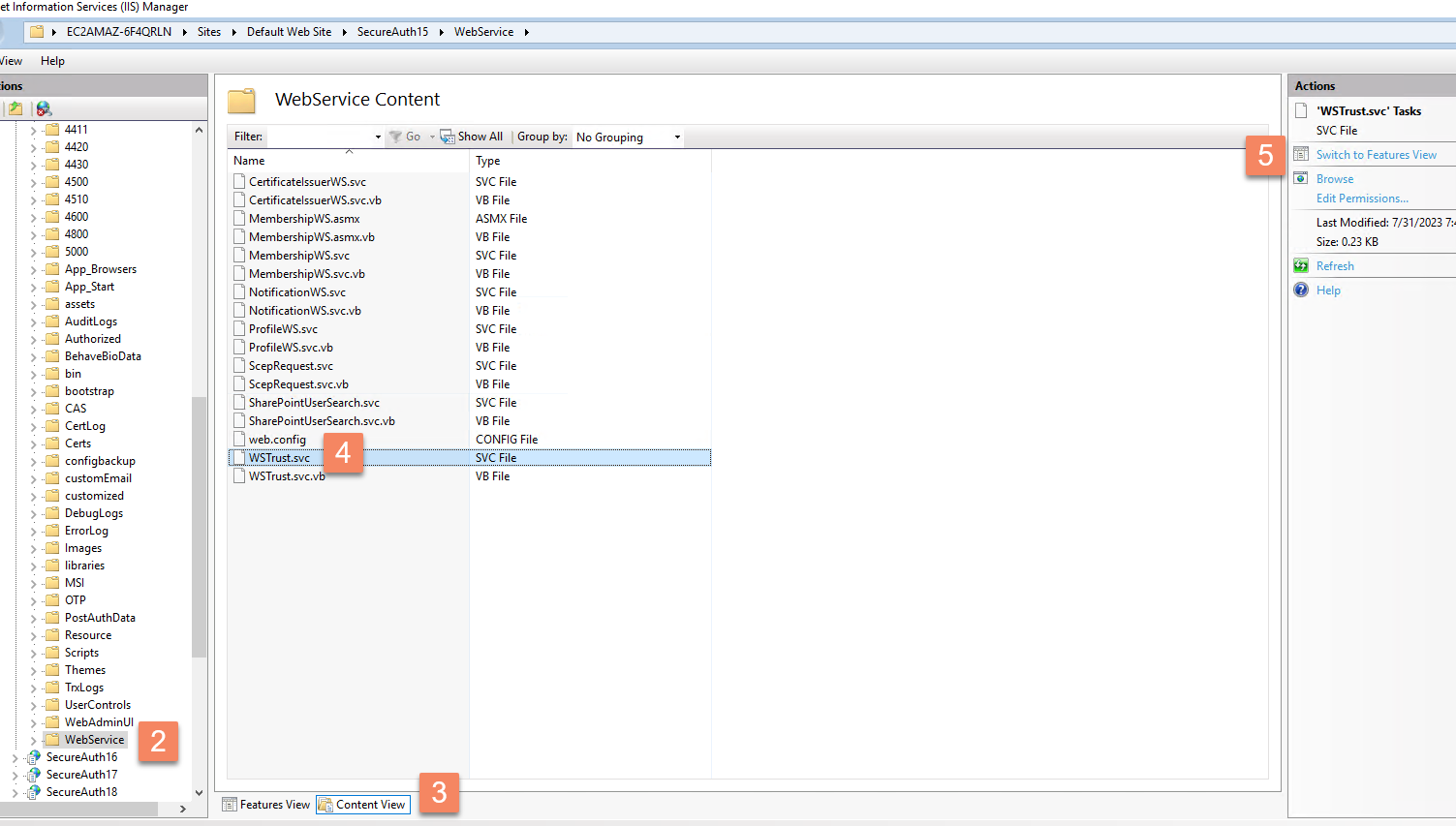 IIS Manager showing the WebService node's Content View with WSTrust.svc selected, and the Switch to Features View action in the Actions pane.