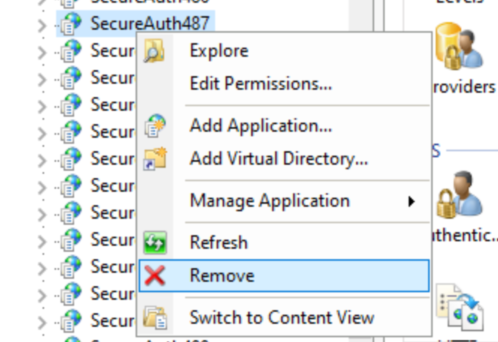 The IIS Manager context menu for a realm application, with Remove highlighted.