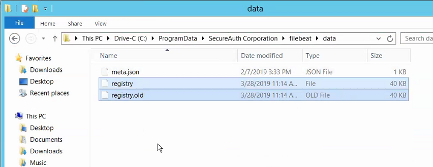 File Explorer showing the registry and registry.old files selected in the filebeat data folder, ready to delete.