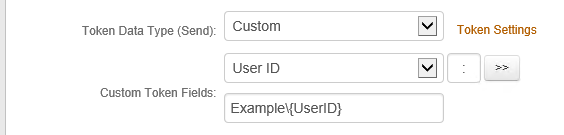 The Workflow tab with Token Data Type (Send) set to Custom and Custom Token Fields set to Example backslash UserID placeholder.
