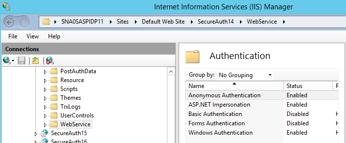 IIS Authentication feature for the WebService subfolder with Anonymous Authentication enabled.