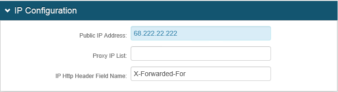 System Info tab's IP Configuration section, with the Public IP Address field highlighted.