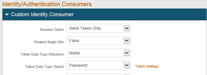 Custom Identity Consumer panel with Token Data Type (Send) set to Password.